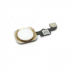 Lankscioji jungtis Apple iPhone 6/6 Plus HOME mygtuko su Touch ID auksine ORG