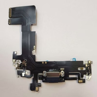 "iPhone 13" įkrovimo lankstas