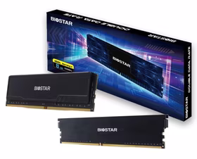 Biostar DDR4 Storming V atminties modulis 8 GB 1 x 8 GB 3200 MHz (DX32NU4H08)