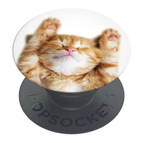 Popsockets 2 Snoozy Cat laikiklis ir telefono stovas