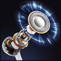 USAMS EP-50 USB-C 1.2m stereo ausinės baltas