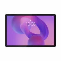 Lenovo Idea Tab 5G Mediatek 128 GB 27,9 cm (11") 8 GB Wi-Fi 5 (802.11ac) Android 15 Pilka