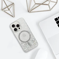 Tel Protect Moonlite Magnetinis dėklas telefonui Iphone 11 sidabrinis skaidrus