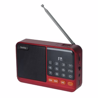 Setty mini FM radio + Bluetooth garsiakalbis SFM-01M