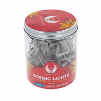 String light 100LED 8m mėlynas Forever Light