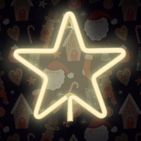 Neon LED kalėdinė žvaigždė šiltai balta FLNE22 Forever Light