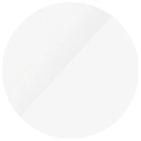 PanzerGlass Apsauginis stiklas Samsung Galaxy Watch 4 (40mm)