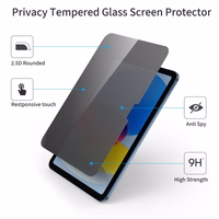 Tech-Protect Glass Spy+ privatumo stiklas iPad 10.9” 2022 / iPad 11” 2025