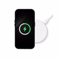 Dėklas Mag Leather Case Apple iPhone 14 oranžinis