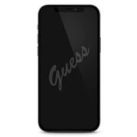 Guess apsauginis stiklas GUSPP12LSLTR iPhone 12 Pro Max 6.7" Vintage Magic Logo