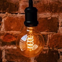 LED Bulb Filamentas E27 G95 4W 230V 2000K 250lm SF auksinis Forever Light