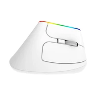 Belaidė vertikali pelė Delux M618C 2.4G 1600DPI RGB (balta)
