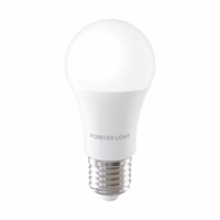 Forever Light LED Bulb E27 A60 12.8W 1520lm 6000K class E