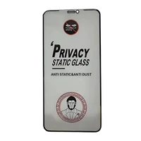 LCD apsauginis stikliukas ESD Anti-Static Privacy Samsung S731 S25 FE