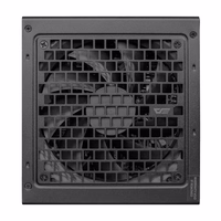 "Darkflash PMT 80 Plus Gold" 850W kompiuterio maitinimo šaltinis