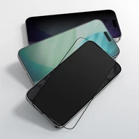 AmazingThing Radix privatumo temperuotas stiklas skirtas iPhone 17