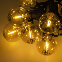 Forever Light LED Solar Garland SUNARI FLS-125 5,5m + 10 bulbs auksinis G40 IP44