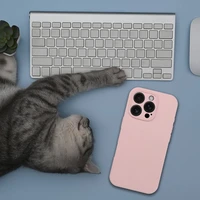 Silikoninis 2mm dėklas telefonui IPHONE 16 Pro Max, suderinamas su Magnetine MagSafe funkcija, smėlio rožinis