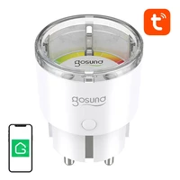 Gosund SP111 3680W 16A WiFi ismanusi lizdas, Tuya