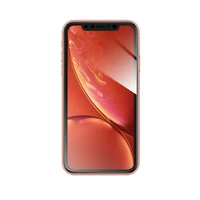 Forcell lankstus nano stiklas 5D Iphone Xr/11 juodas