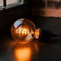 LED Bulb Filamentas E27 G95 4W 230V 2000K 250lm SF smoked Forever Light