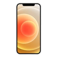 Tel Protect Magiškas MagSafe su stovu dėklas telefonui Iphone 11 sidabro spalvos