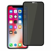 LCD apsauginis stikliukas Full Privacy Apple iPhone 17 juodas