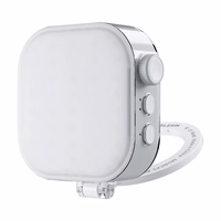 Ice Cube Telesin selfie light with phone holder