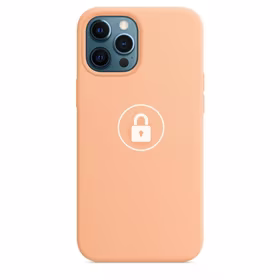 Dėklas "Silicone Case v2" skirtas iPhone 12 Pro Max / Contaloupe / su įpakavimu