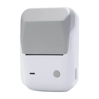 Niimbot B1 mobilus terminis etikečių spausdintuvas pilkas