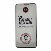 LCD apsauginis stikliukas ESD Anti-Static Privacy Apple iPhone XS Max/11 Pro Max