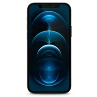 Guess apsauginis stiklas GUSPP12LSLTR iPhone 12 Pro Max 6.7" Vintage Magic Logo