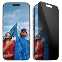 PanzerGlass privatumo apsauginis stiklas iPhone 16 Pro 6.3" itin platus P2862