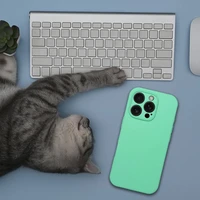 Silikoninis dėklas 2mm IPHONE 16 Plus suderinamas su Magnetine mėtų