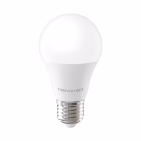 Forever Light LED Bulb E27 A55 4W 480lm 3000K class E