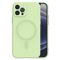 TEL PROTECT Magnetinis silikoninis dėklas Iphone 11 Pro mėtų spalvos