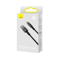 Baseus kabelis Tungsten USB - USB-C 1,0m juodas 100W