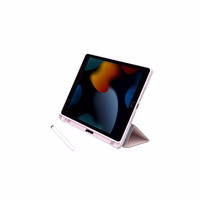 "AmazingThing Titan Pro Folio" dėklas "iPad Air M3" 11" - rožinis