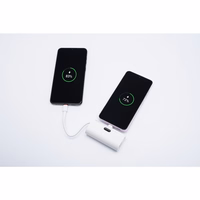 Išorinė baterija Forcell F-Energy Power Plug F5K3 PD 20W 5000 mAh su įmontuotu jungtimi USB C balta