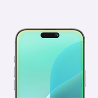 AmazingThing Radix matinio stiklo grūdintas stiklas iPhone 16 Pro Max telefonui