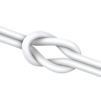 Ausinės Joyroom JR-EC06 Type-C sidabrinės