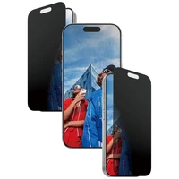 PanzerGlass Ultra-Wide Fit EasyAligner privatumo stiklas iPhone 17 / 16 Pro