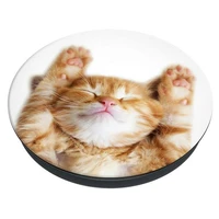 Popsockets 2 Snoozy Cat laikiklis ir telefono stovas
