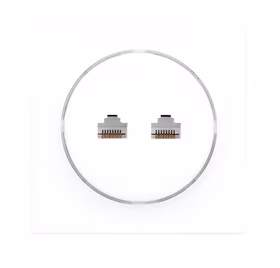 Fibaro Walli N šakutės lizdas 2 x RJ-45 Balta