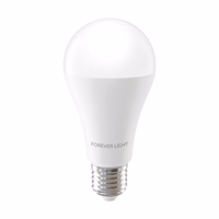 Forever Light LED Bulb E27 A65 17W 2100lm 6000K class E