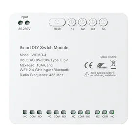DIY Avatto WSMD-4 250V išmanusis jungiklio modulis