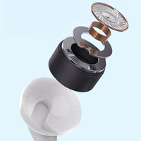 Dudao X3 Wired USB-C In-Ear Ausinės - baltas