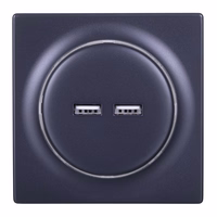 Fibaro FGWU-021-8 šakutės lizdas 2x USB Juoda