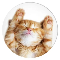 Popsockets 2 Snoozy Cat laikiklis ir telefono stovas