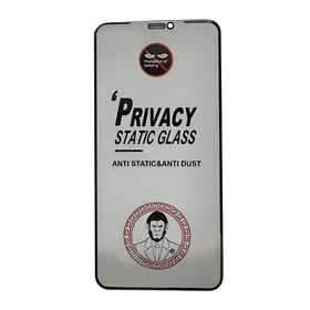 LCD apsauginis stikliukas ESD Anti-Static Privacy Samsung S731 S25 FE